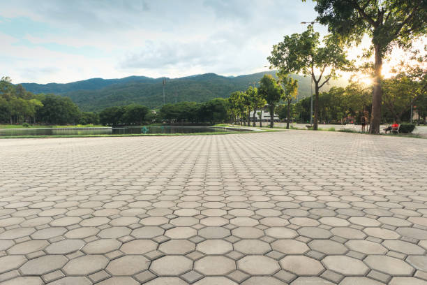 Best Local Driveway Pavers  in Lodi, WI